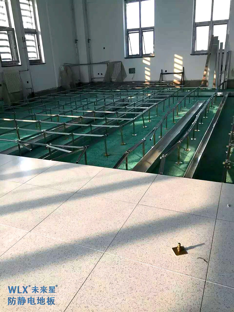 陜西省中醫腦科醫院-小蘭花陶瓷防靜電地板